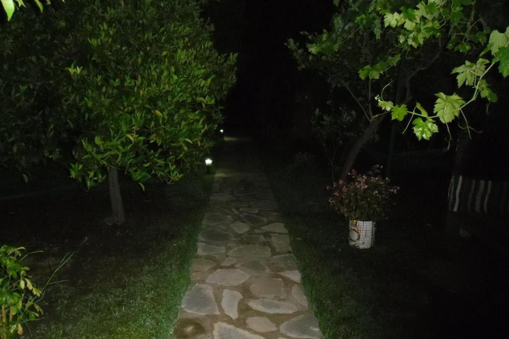 Cesur Pansiyon Hotel Cirali Exterior photo