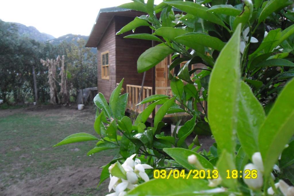 Cesur Pansiyon Hotel Cirali Room photo